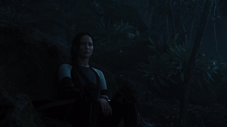 The_Hunger_Games_Catching_Fire_2013_1080p_BluRay_x264_AAC_-_Ozlem_07788.jpg