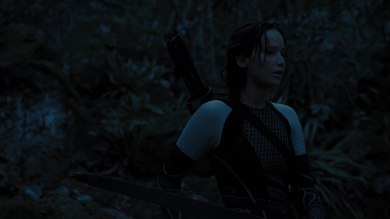 The_Hunger_Games_Catching_Fire_2013_1080p_BluRay_x264_AAC_-_Ozlem_07812.jpg