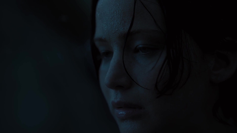 The_Hunger_Games_Catching_Fire_2013_1080p_BluRay_x264_AAC_-_Ozlem_07818.jpg
