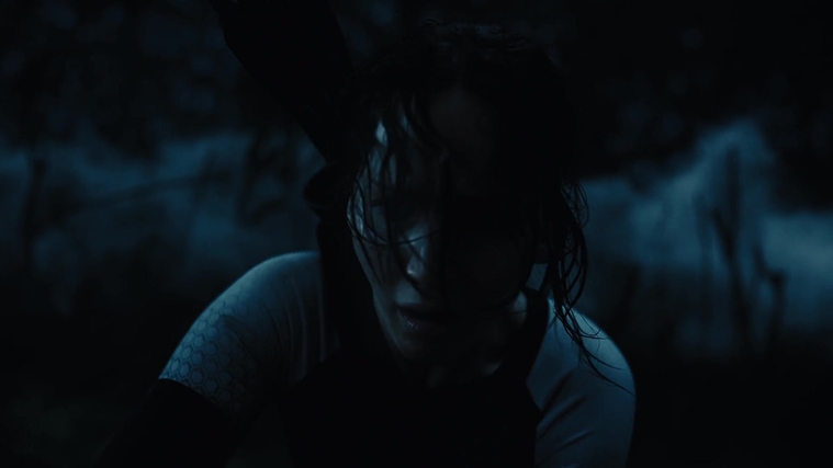 The_Hunger_Games_Catching_Fire_2013_1080p_BluRay_x264_AAC_-_Ozlem_07996.jpg