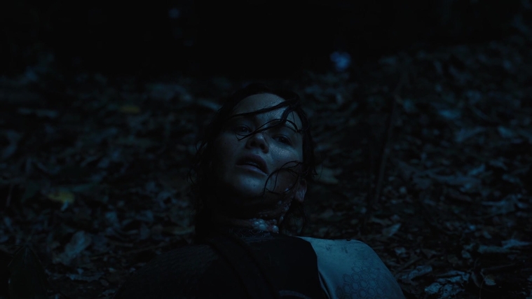 The_Hunger_Games_Catching_Fire_2013_1080p_BluRay_x264_AAC_-_Ozlem_08117.jpg