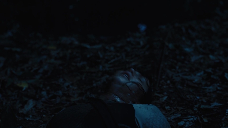 The_Hunger_Games_Catching_Fire_2013_1080p_BluRay_x264_AAC_-_Ozlem_08133.jpg