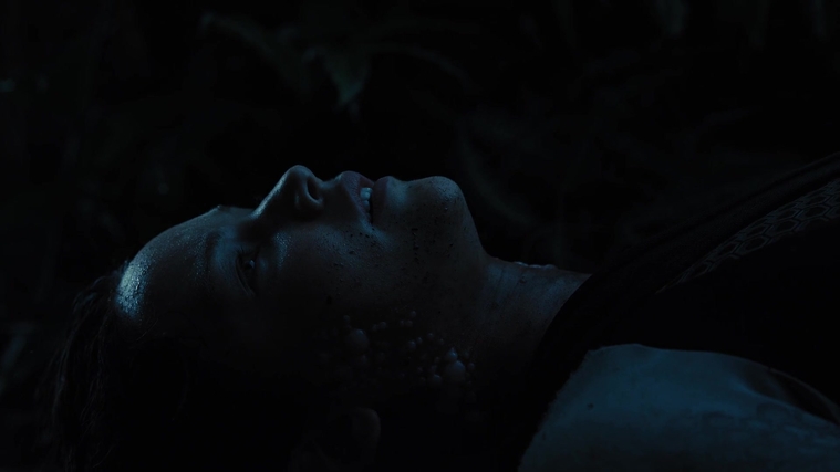 The_Hunger_Games_Catching_Fire_2013_1080p_BluRay_x264_AAC_-_Ozlem_08143.jpg