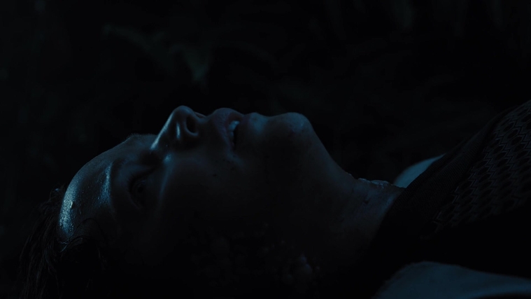 The_Hunger_Games_Catching_Fire_2013_1080p_BluRay_x264_AAC_-_Ozlem_08148.jpg