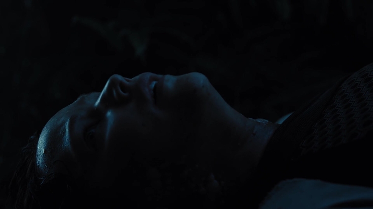 The_Hunger_Games_Catching_Fire_2013_1080p_BluRay_x264_AAC_-_Ozlem_08149.jpg