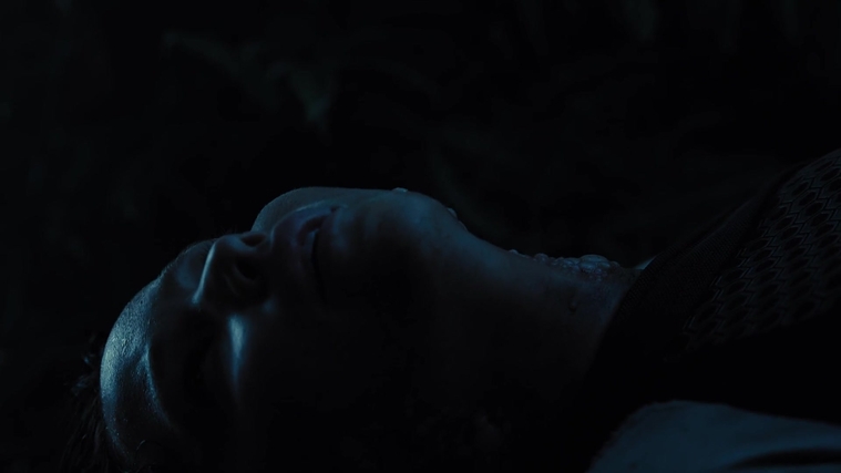 The_Hunger_Games_Catching_Fire_2013_1080p_BluRay_x264_AAC_-_Ozlem_08150.jpg
