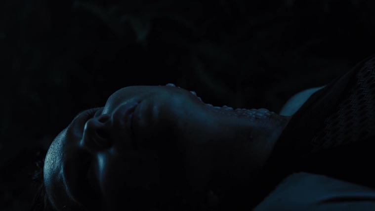 The_Hunger_Games_Catching_Fire_2013_1080p_BluRay_x264_AAC_-_Ozlem_08151.jpg
