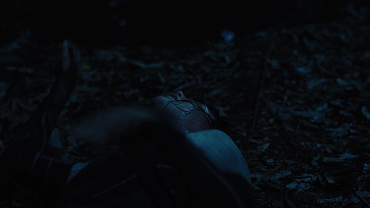 The_Hunger_Games_Catching_Fire_2013_1080p_BluRay_x264_AAC_-_Ozlem_08152.jpg