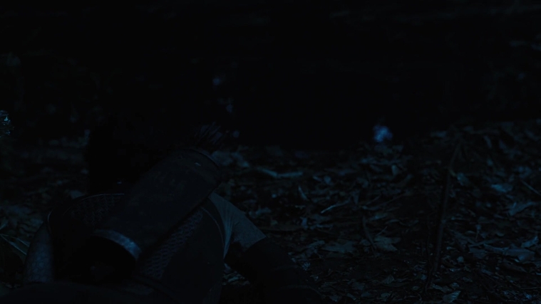 The_Hunger_Games_Catching_Fire_2013_1080p_BluRay_x264_AAC_-_Ozlem_08157.jpg