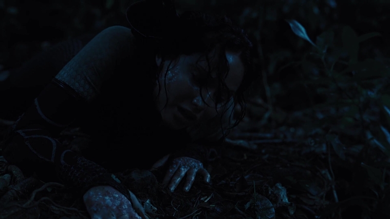 The_Hunger_Games_Catching_Fire_2013_1080p_BluRay_x264_AAC_-_Ozlem_08166.jpg