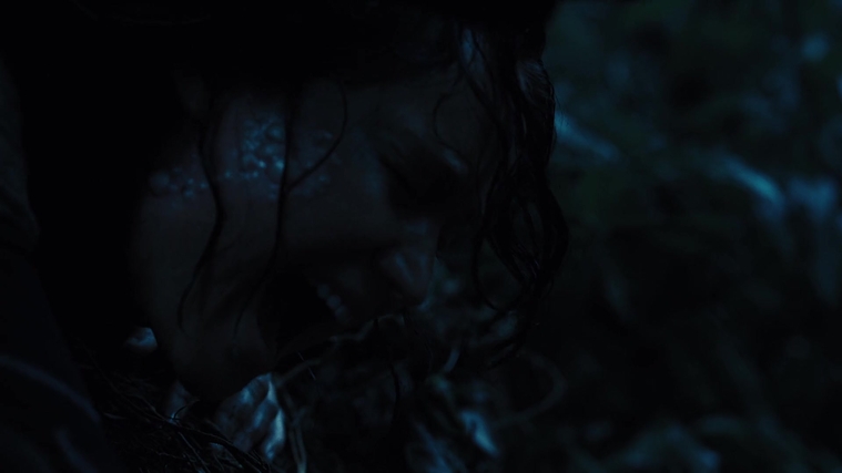 The_Hunger_Games_Catching_Fire_2013_1080p_BluRay_x264_AAC_-_Ozlem_08174.jpg