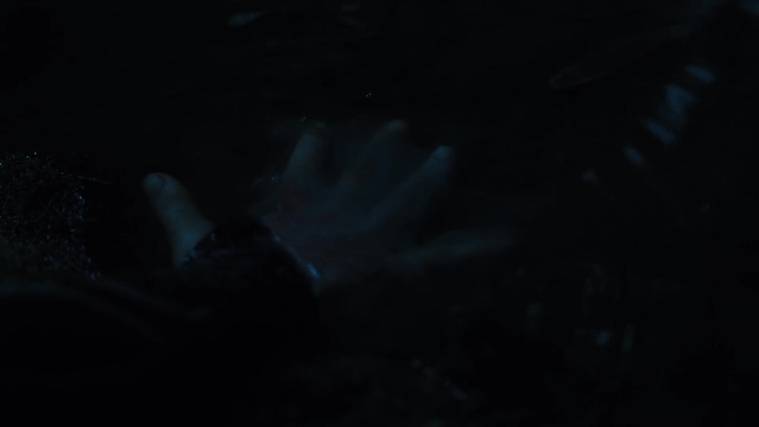 The_Hunger_Games_Catching_Fire_2013_1080p_BluRay_x264_AAC_-_Ozlem_08178.jpg