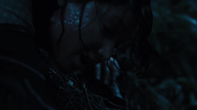 The_Hunger_Games_Catching_Fire_2013_1080p_BluRay_x264_AAC_-_Ozlem_08180.jpg