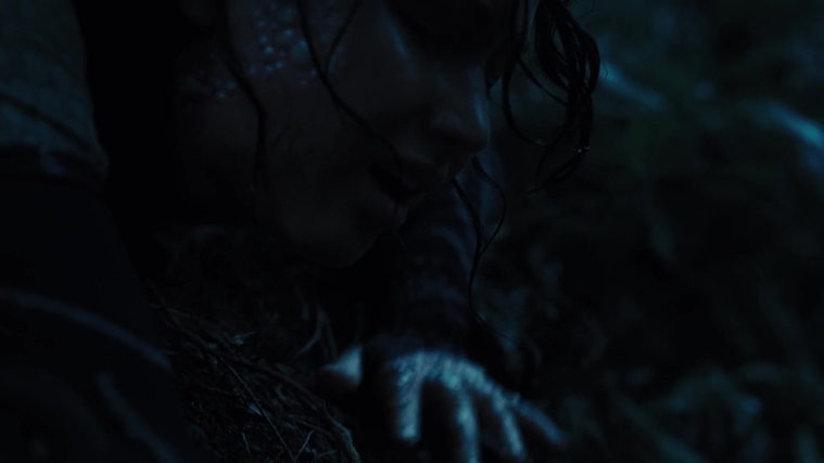 The_Hunger_Games_Catching_Fire_2013_1080p_BluRay_x264_AAC_-_Ozlem_08181.jpg
