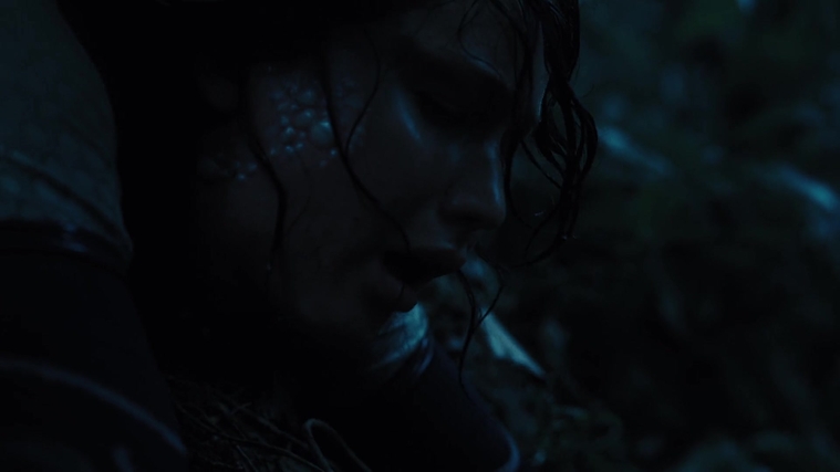 The_Hunger_Games_Catching_Fire_2013_1080p_BluRay_x264_AAC_-_Ozlem_08182.jpg