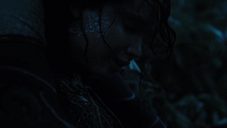 The_Hunger_Games_Catching_Fire_2013_1080p_BluRay_x264_AAC_-_Ozlem_08191.jpg