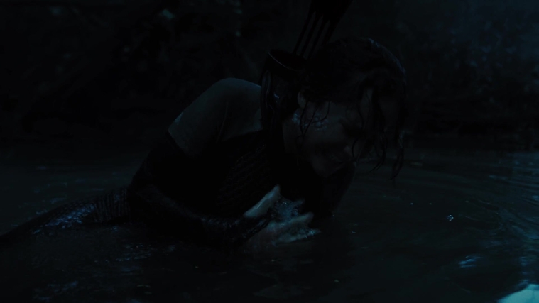 The_Hunger_Games_Catching_Fire_2013_1080p_BluRay_x264_AAC_-_Ozlem_08220.jpg