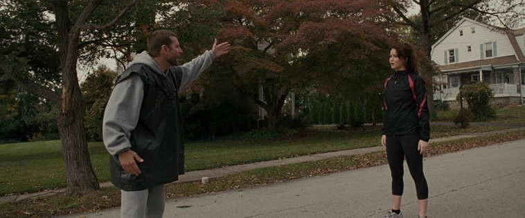 The_Silver_Linings_Playbook_CAPTURES_2821629.jpg