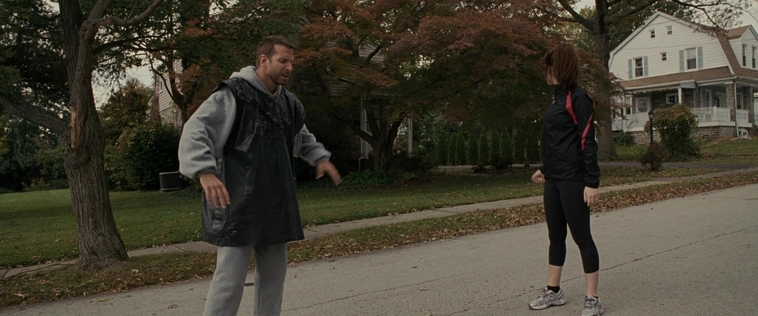 The_Silver_Linings_Playbook_CAPTURES_2821929.jpg