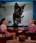 Filename=November_212C_2012_-__The_Ellen_DeGeneres_Show_28107529.jpg
Filesize=80KiB
Dimensions=1280x720
Date added=Apr 03, 2014 November_212C_2012_-__The_Ellen_DeGeneres_Show_28107529.jpg