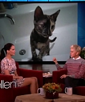 Filename=November_212C_2012_-__The_Ellen_DeGeneres_Show_28107629.jpg
Filesize=81KiB
Dimensions=1280x720
Date added=Apr 03, 2014 November_212C_2012_-__The_Ellen_DeGeneres_Show_28107629.jpg