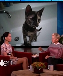 Filename=November_212C_2012_-__The_Ellen_DeGeneres_Show_28107729.jpg
Filesize=81KiB
Dimensions=1280x720
Date added=Apr 03, 2014 November_212C_2012_-__The_Ellen_DeGeneres_Show_28107729.jpg
