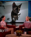 Filename=November_212C_2012_-__The_Ellen_DeGeneres_Show_28108329.jpg
Filesize=86KiB
Dimensions=1280x720
Date added=Apr 03, 2014 November_212C_2012_-__The_Ellen_DeGeneres_Show_28108329.jpg