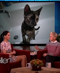 Filename=November_212C_2012_-__The_Ellen_DeGeneres_Show_28108529.jpg
Filesize=87KiB
Dimensions=1280x720
Date added=Apr 03, 2014 November_212C_2012_-__The_Ellen_DeGeneres_Show_28108529.jpg
