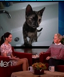 Filename=November_212C_2012_-__The_Ellen_DeGeneres_Show_28114929.jpg
Filesize=86KiB
Dimensions=1280x720
Date added=Apr 04, 2014 November_212C_2012_-__The_Ellen_DeGeneres_Show_28114929.jpg