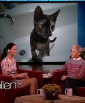 Filename=November_212C_2012_-__The_Ellen_DeGeneres_Show_28115029.jpg
Filesize=88KiB
Dimensions=1280x720
Date added=Apr 04, 2014 November_212C_2012_-__The_Ellen_DeGeneres_Show_28115029.jpg