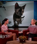 Filename=November_212C_2012_-__The_Ellen_DeGeneres_Show_28115129.jpg
Filesize=88KiB
Dimensions=1280x720
Date added=Apr 04, 2014 November_212C_2012_-__The_Ellen_DeGeneres_Show_28115129.jpg