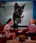 Filename=November_212C_2012_-__The_Ellen_DeGeneres_Show_28115329.jpg
Filesize=89KiB
Dimensions=1280x720
Date added=Apr 04, 2014 November_212C_2012_-__The_Ellen_DeGeneres_Show_28115329.jpg
