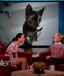 Filename=November_212C_2012_-__The_Ellen_DeGeneres_Show_28115429.jpg
Filesize=90KiB
Dimensions=1280x720
Date added=Apr 04, 2014 November_212C_2012_-__The_Ellen_DeGeneres_Show_28115429.jpg