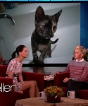 Filename=November_212C_2012_-__The_Ellen_DeGeneres_Show_28115529.jpg
Filesize=89KiB
Dimensions=1280x720
Date added=Apr 04, 2014 November_212C_2012_-__The_Ellen_DeGeneres_Show_28115529.jpg