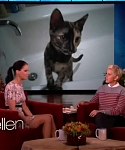 Filename=November_212C_2012_-__The_Ellen_DeGeneres_Show_28115629.jpg
Filesize=89KiB
Dimensions=1280x720
Date added=Apr 04, 2014 November_212C_2012_-__The_Ellen_DeGeneres_Show_28115629.jpg