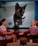 Filename=November_212C_2012_-__The_Ellen_DeGeneres_Show_28115729.jpg
Filesize=90KiB
Dimensions=1280x720
Date added=Apr 04, 2014 November_212C_2012_-__The_Ellen_DeGeneres_Show_28115729.jpg