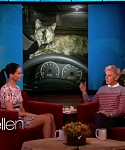 Filename=November_212C_2012_-__The_Ellen_DeGeneres_Show_28117629.jpg
Filesize=90KiB
Dimensions=1280x720
Date added=Apr 04, 2014 November_212C_2012_-__The_Ellen_DeGeneres_Show_28117629.jpg