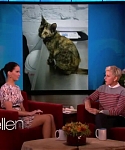 Filename=November_212C_2012_-__The_Ellen_DeGeneres_Show_28119829.jpg
Filesize=90KiB
Dimensions=1280x720
Date added=Apr 04, 2014 November_212C_2012_-__The_Ellen_DeGeneres_Show_28119829.jpg