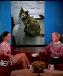 Filename=November_212C_2012_-__The_Ellen_DeGeneres_Show_28123329.jpg
Filesize=85KiB
Dimensions=1280x720
Date added=Apr 04, 2014 November_212C_2012_-__The_Ellen_DeGeneres_Show_28123329.jpg