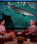 Filename=November_212C_2012_-__The_Ellen_DeGeneres_Show_2858229.jpg
Filesize=87KiB
Dimensions=1280x720
Date added=Apr 03, 2014 November_212C_2012_-__The_Ellen_DeGeneres_Show_2858229.jpg
