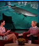 Filename=November_212C_2012_-__The_Ellen_DeGeneres_Show_2858429.jpg
Filesize=90KiB
Dimensions=1280x720
Date added=Apr 03, 2014 November_212C_2012_-__The_Ellen_DeGeneres_Show_2858429.jpg