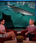 Filename=November_212C_2012_-__The_Ellen_DeGeneres_Show_2858829.jpg
Filesize=93KiB
Dimensions=1280x720
Date added=Apr 03, 2014 November_212C_2012_-__The_Ellen_DeGeneres_Show_2858829.jpg