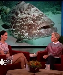 Filename=November_212C_2012_-__The_Ellen_DeGeneres_Show_2863529.jpg
Filesize=104KiB
Dimensions=1280x720
Date added=Apr 03, 2014 November_212C_2012_-__The_Ellen_DeGeneres_Show_2863529.jpg
