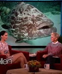Filename=November_212C_2012_-__The_Ellen_DeGeneres_Show_2864129.jpg
Filesize=102KiB
Dimensions=1280x720
Date added=Apr 03, 2014 November_212C_2012_-__The_Ellen_DeGeneres_Show_2864129.jpg