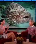 Filename=November_212C_2012_-__The_Ellen_DeGeneres_Show_2871529.jpg
Filesize=97KiB
Dimensions=1280x720
Date added=Apr 03, 2014 November_212C_2012_-__The_Ellen_DeGeneres_Show_2871529.jpg