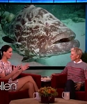 Filename=November_212C_2012_-__The_Ellen_DeGeneres_Show_2871829.jpg
Filesize=102KiB
Dimensions=1280x720
Date added=Apr 03, 2014 November_212C_2012_-__The_Ellen_DeGeneres_Show_2871829.jpg