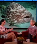 Filename=November_212C_2012_-__The_Ellen_DeGeneres_Show_2872029.jpg
Filesize=99KiB
Dimensions=1280x720
Date added=Apr 03, 2014 November_212C_2012_-__The_Ellen_DeGeneres_Show_2872029.jpg