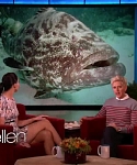 Filename=November_212C_2012_-__The_Ellen_DeGeneres_Show_2872329.jpg
Filesize=103KiB
Dimensions=1280x720
Date added=Apr 03, 2014 November_212C_2012_-__The_Ellen_DeGeneres_Show_2872329.jpg