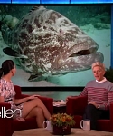 Filename=November_212C_2012_-__The_Ellen_DeGeneres_Show_2872429.jpg
Filesize=101KiB
Dimensions=1280x720
Date added=Apr 03, 2014 November_212C_2012_-__The_Ellen_DeGeneres_Show_2872429.jpg