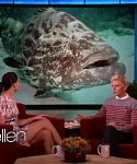 Filename=November_212C_2012_-__The_Ellen_DeGeneres_Show_2872529.jpg
Filesize=102KiB
Dimensions=1280x720
Date added=Apr 03, 2014 November_212C_2012_-__The_Ellen_DeGeneres_Show_2872529.jpg